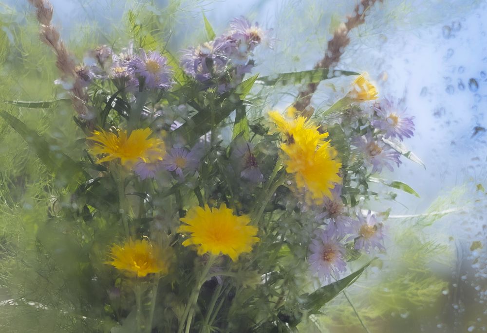 Photograph by Наталия Колтакова