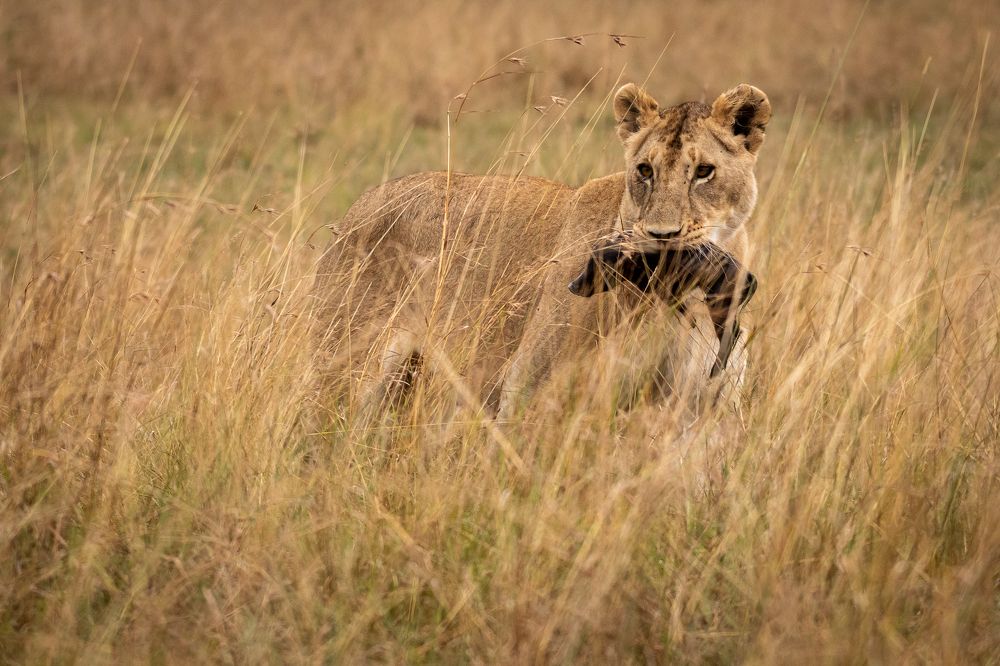 Photograph by Sunil Dhar