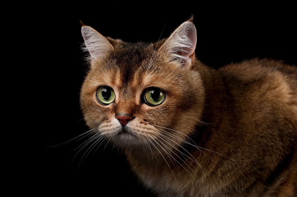 Photograph by Ирина Недикова