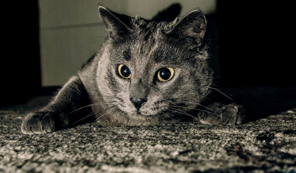 Photograph by Илья Найко