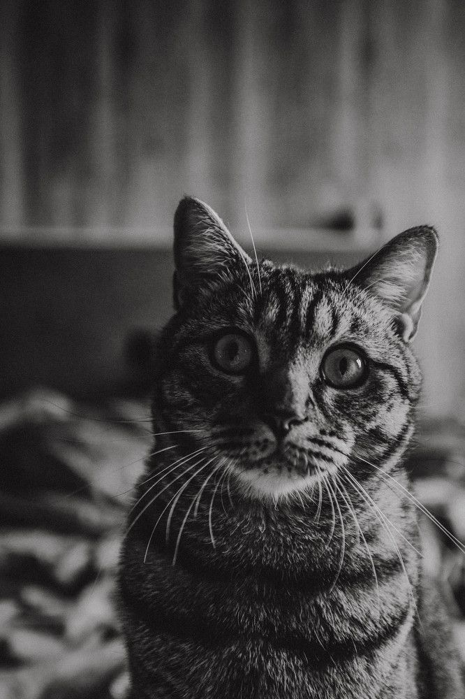 Photograph by Илья Найко