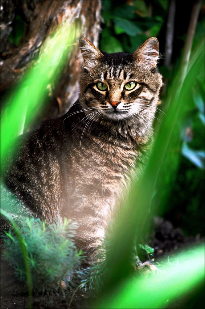 Photograph by Lisnov742