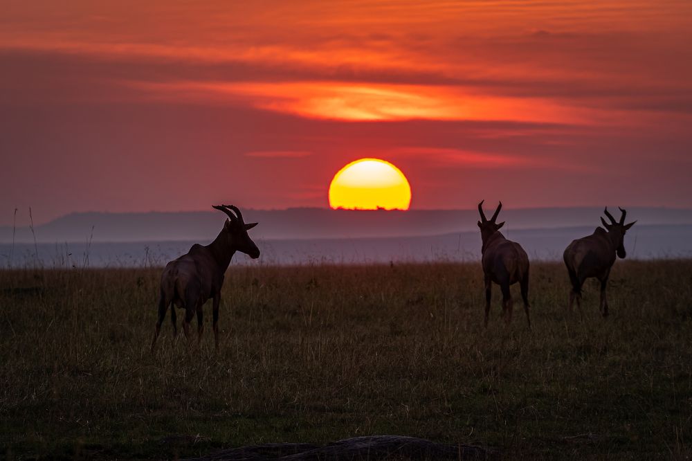 Photograph by Sunil Dhar
