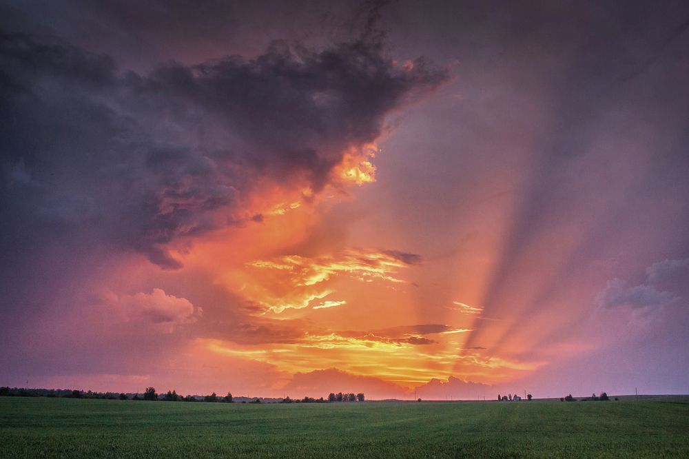 Photograph by Павел Прохоренко