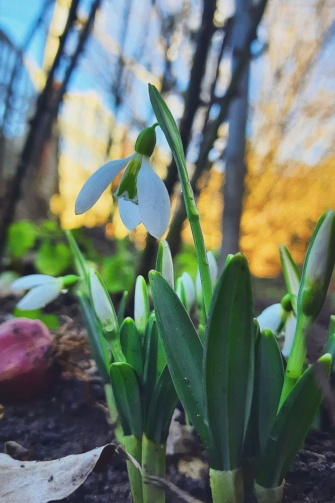 Фотография автора Eva Evstropova