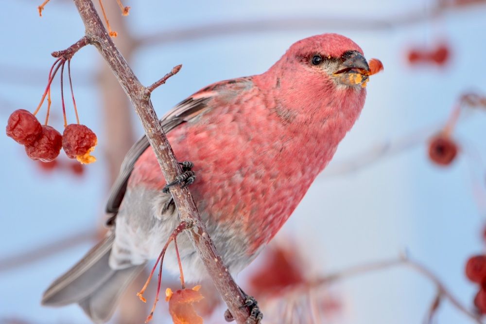 Photograph by Ирина Лисовец