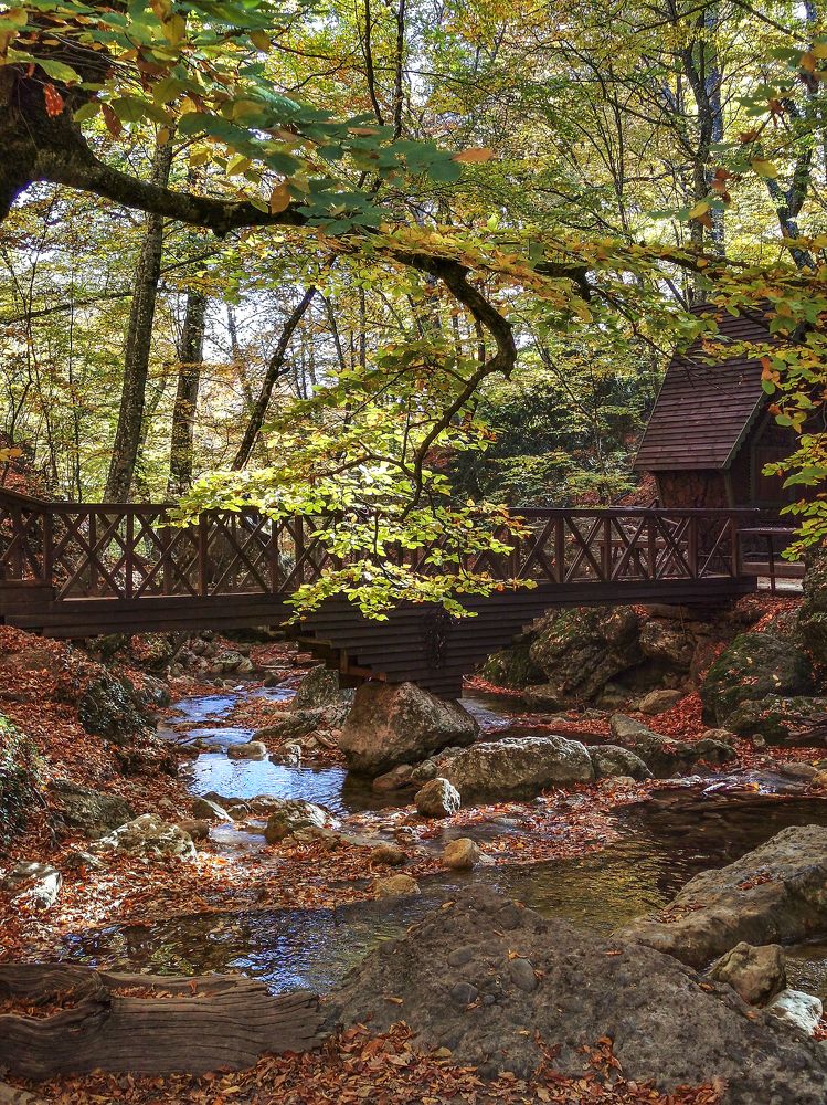 Photograph by Дмитрий Юдин