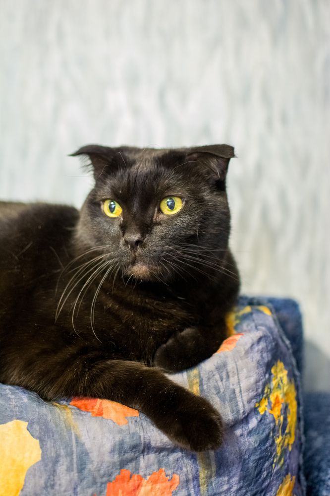 Photograph by Николай Головко