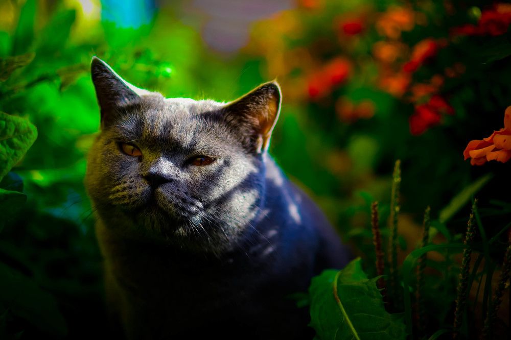 Photograph by Андрей Смирнов