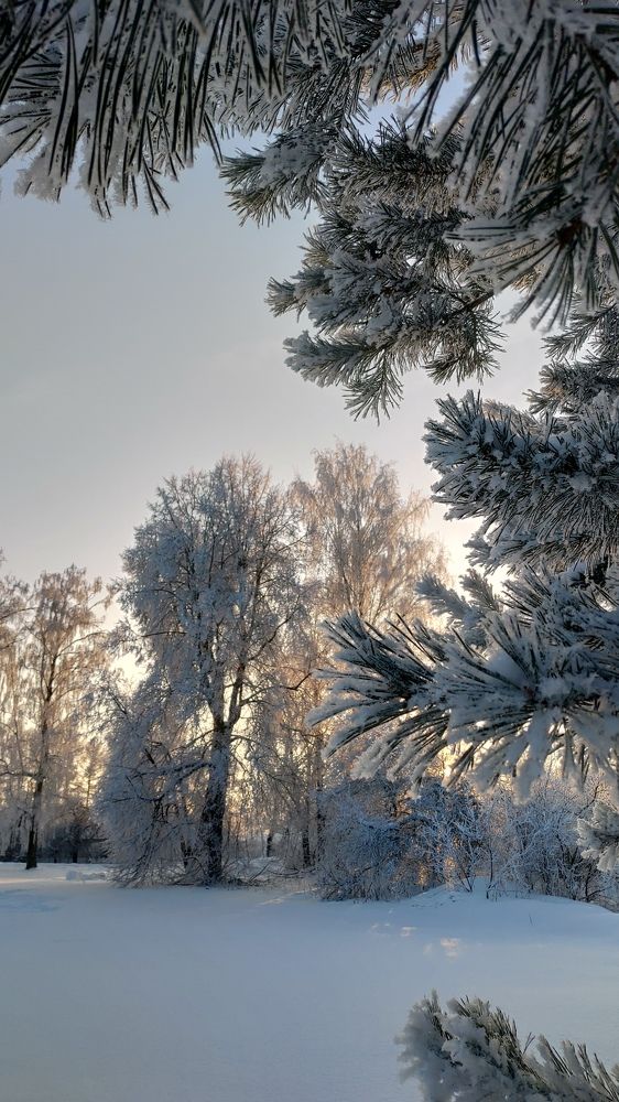 После снегопада