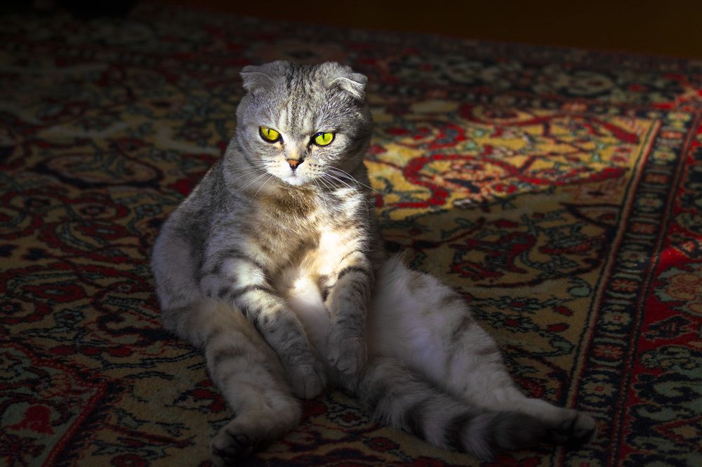 После тяжелого рабочего дня.