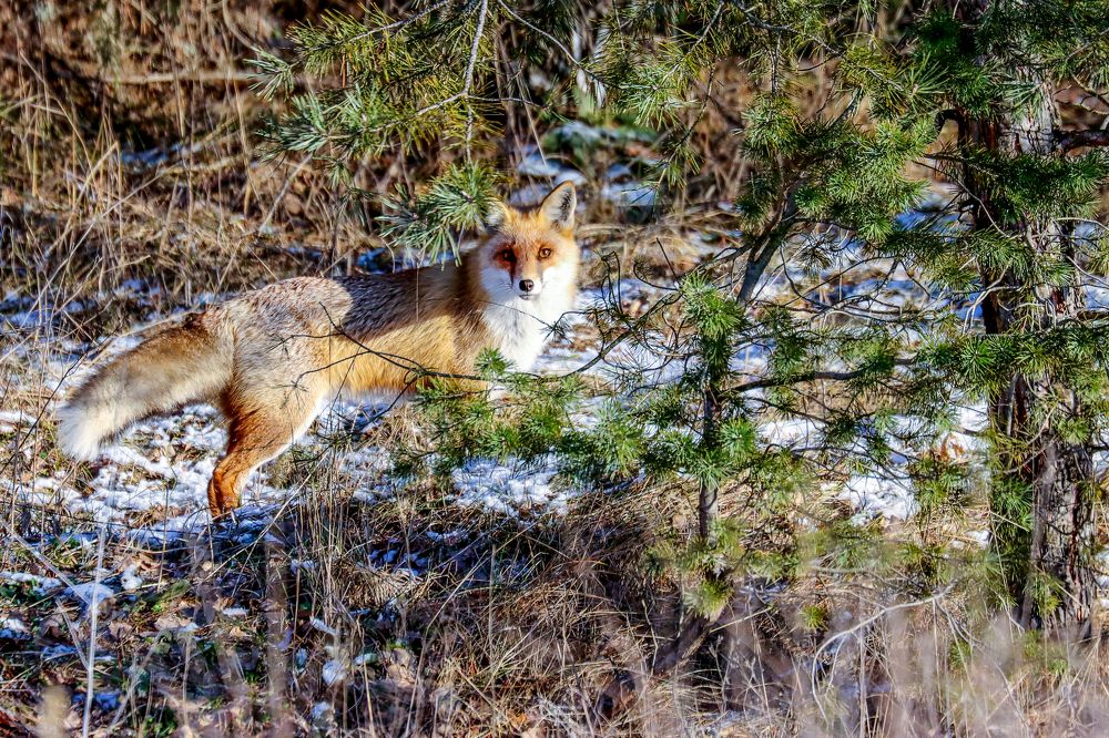 Photograph by Юлия Черкасова