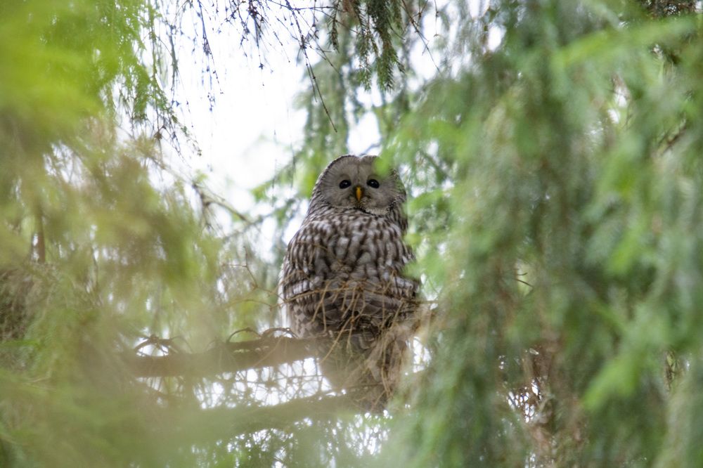 Photograph by Андрей Смирнов