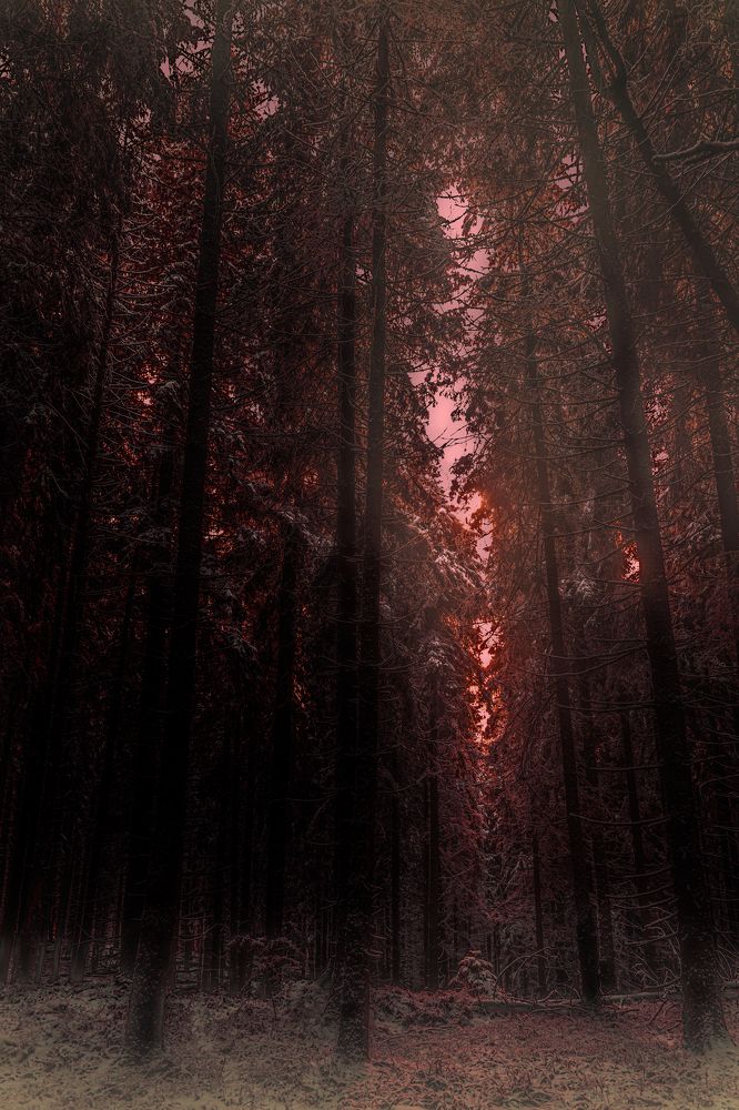 Photograph by DANUT MOCREI