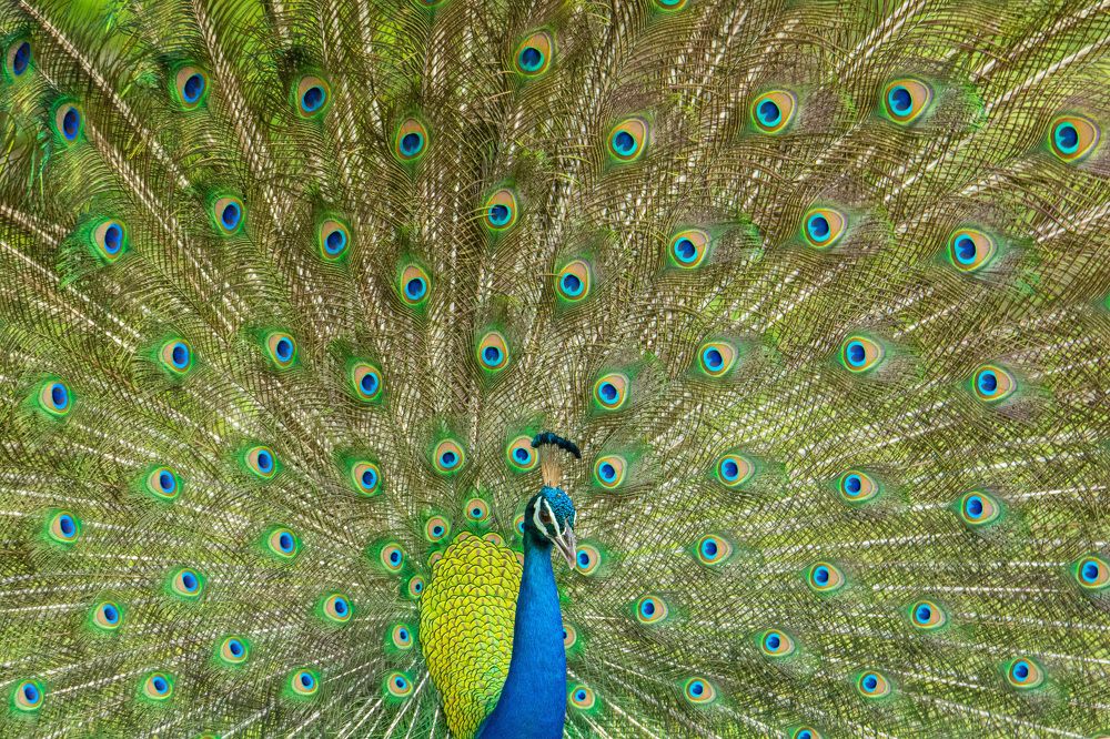 Photograph by Yazir Zubair