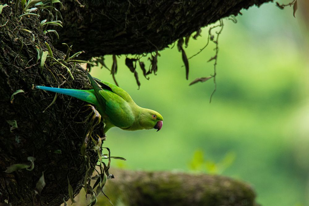 Photograph by Yazir Zubair