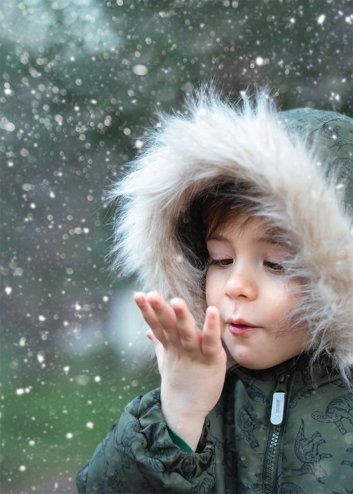 Photograph by Эльвира Бркич