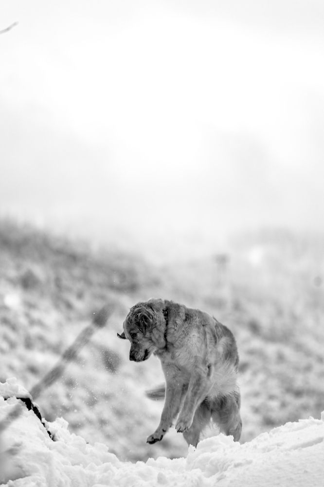 Photograph by Александр Вдовенко