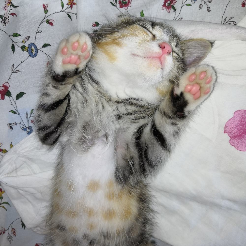 Photograph by Андрей Евтеев