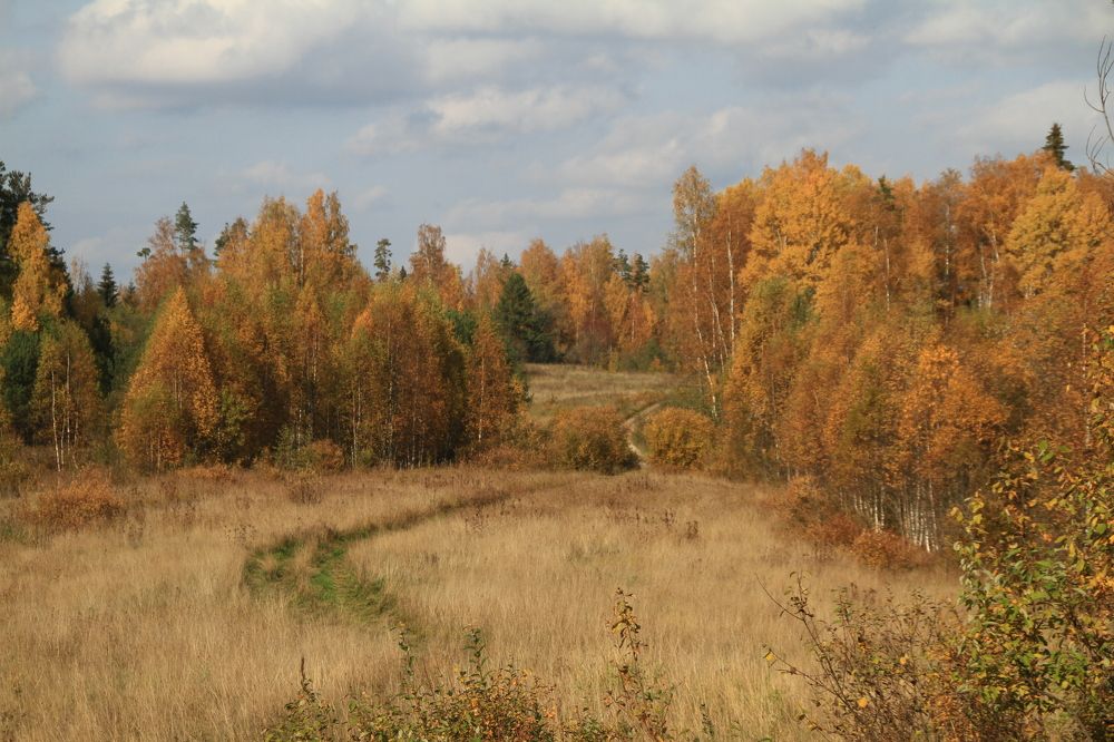 Фотография автора Анастасия Зверева