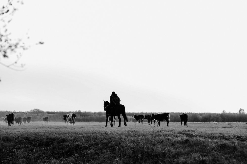 Photograph by Кристина Студеникина
