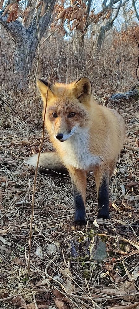 Photograph by Людмила Воропаева