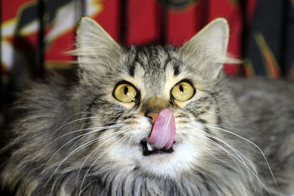 Photograph by Вероника Любицева