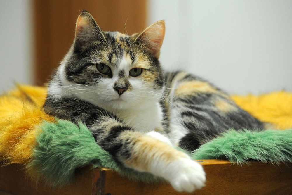 Photograph by Вероника Любицева