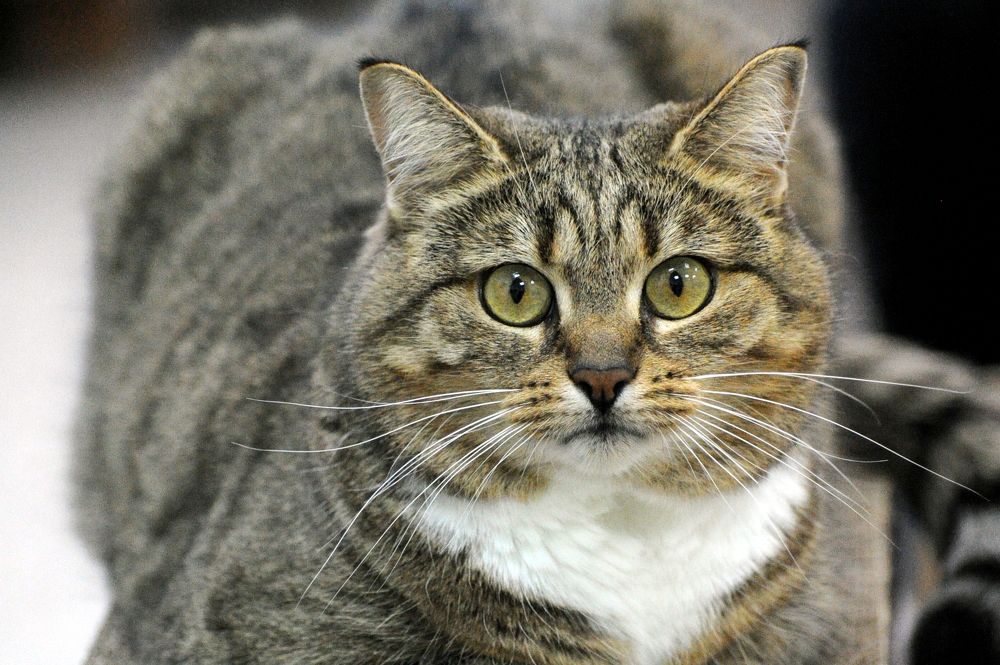 Photograph by Вероника Любицева