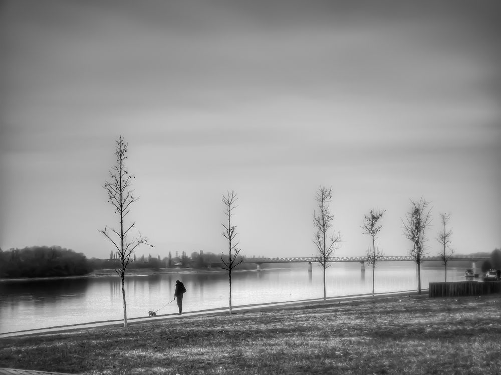 Фотография автора Nomin Jerabek