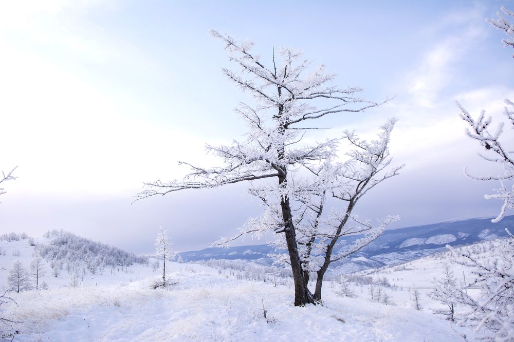 Photograph by Надежда Кажура