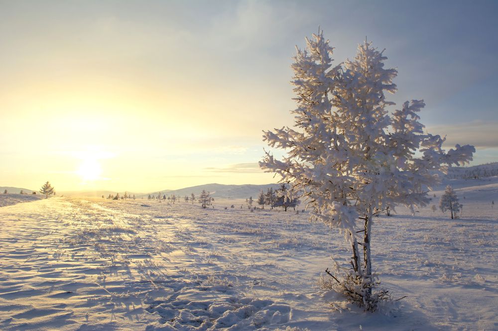 Photograph by Надежда Кажура