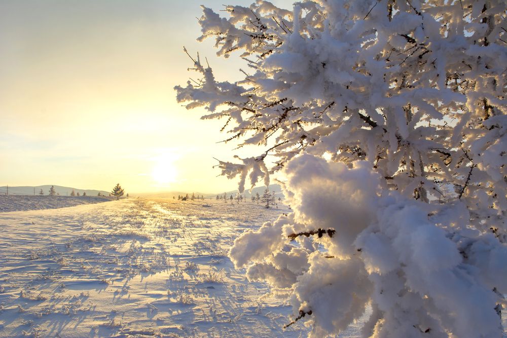 Photograph by Надежда Кажура