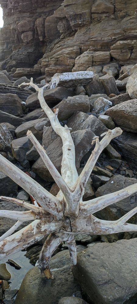 Photograph by Людмила Воропаева