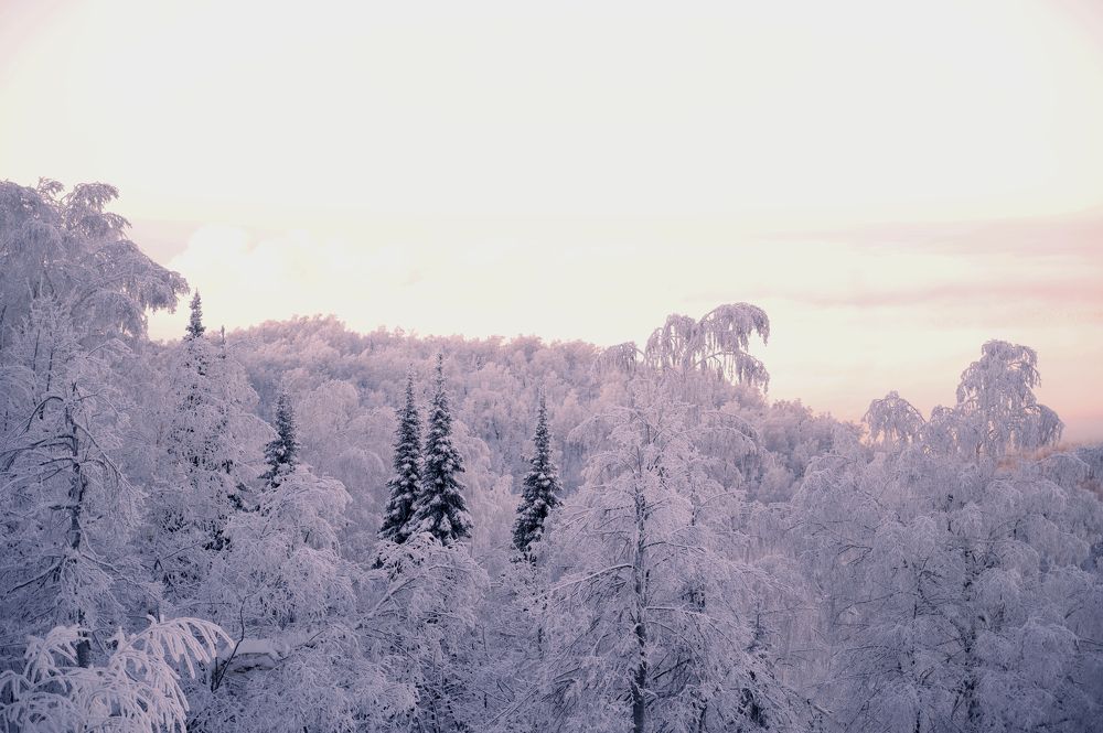 Photograph by Марьям Цимбельман