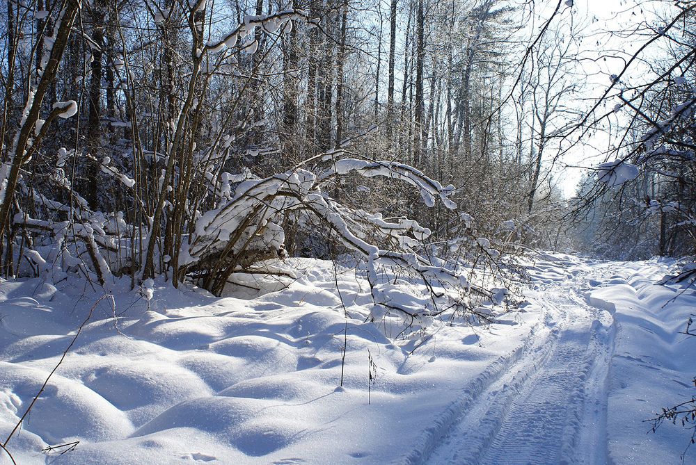 Photograph by Вячеслав Швецов