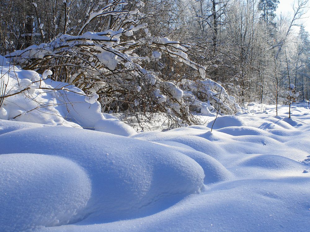 Тропинками зимнего Бора