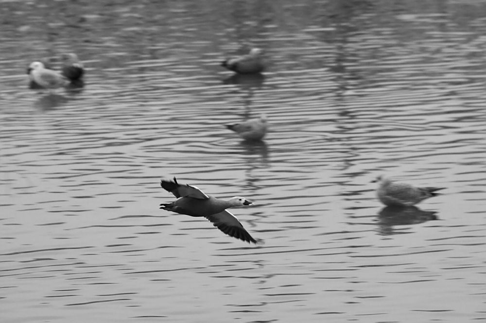 Photograph by Евгений Беленков