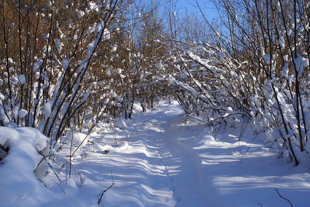 Photograph by Вячеслав Швецов