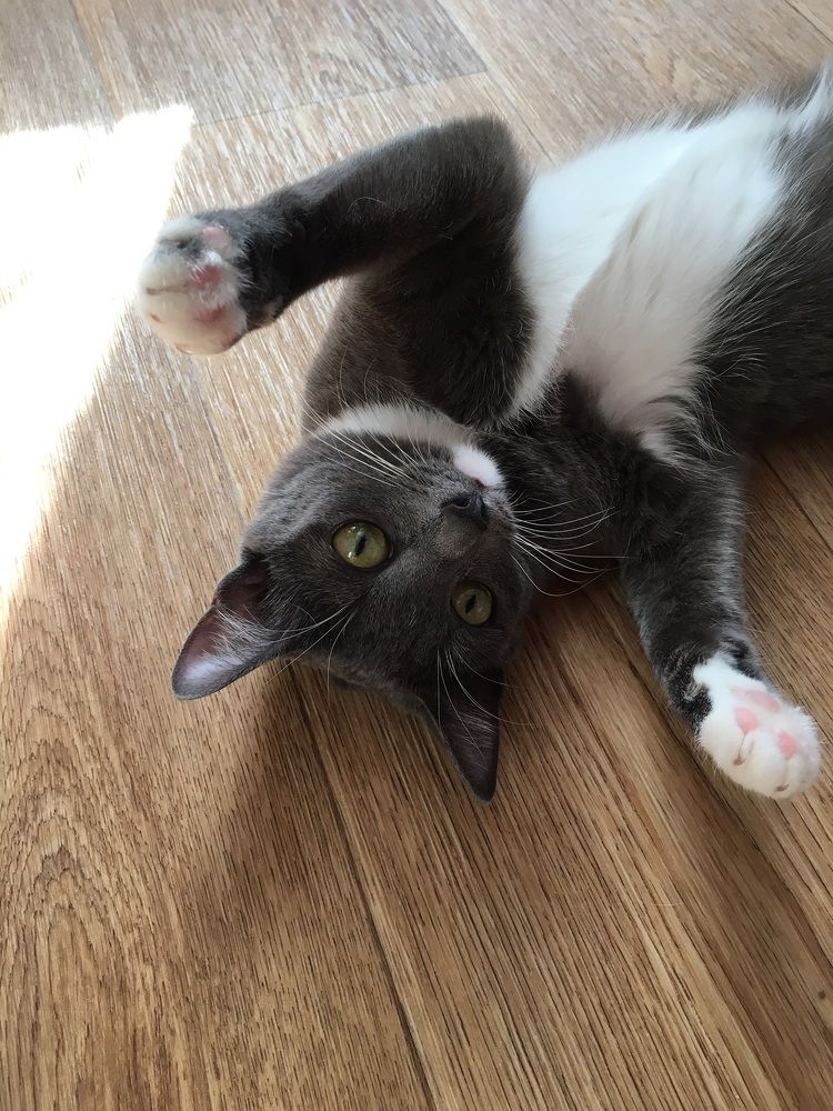 Photograph by Ирина Трембач