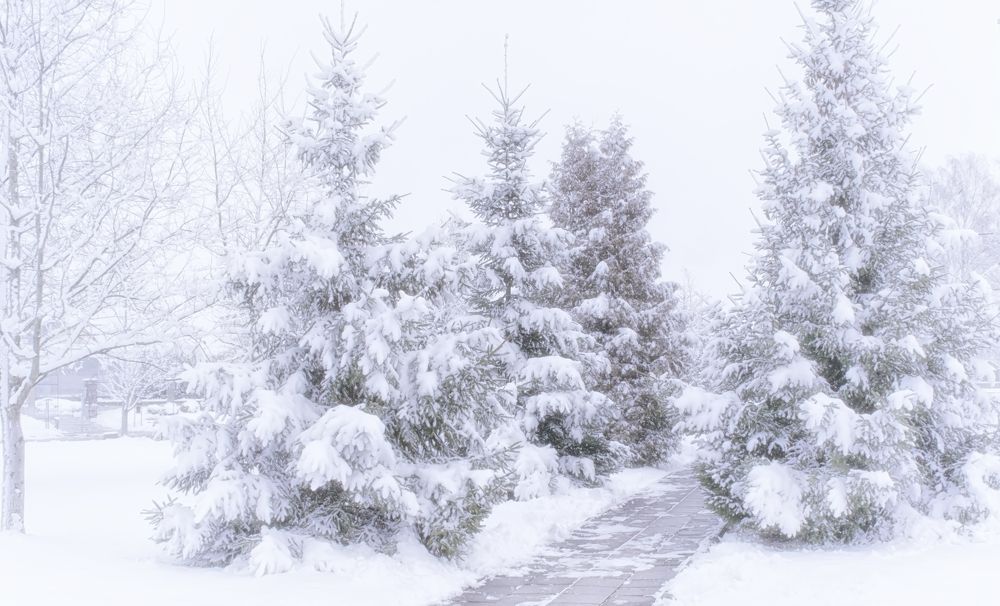 Фотография автора Юлия Кранина