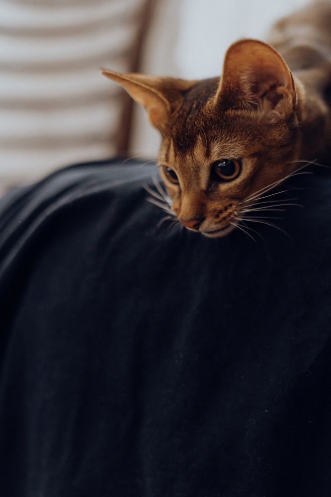 Photograph by Надежда Ларионова