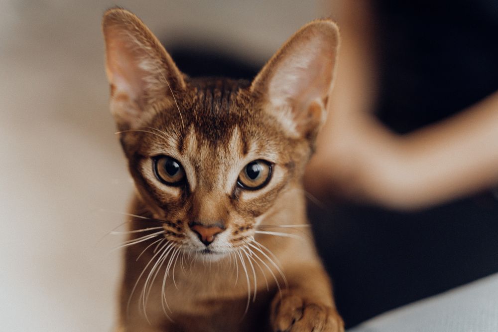 Photograph by Надежда Ларионова