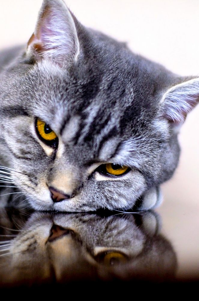 Photograph by alexander kryuchkov