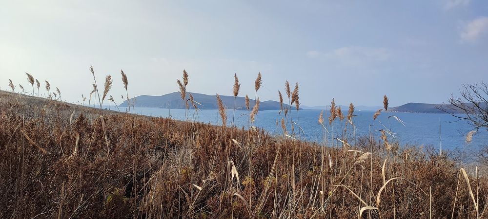 Photograph by Людмила Воропаева