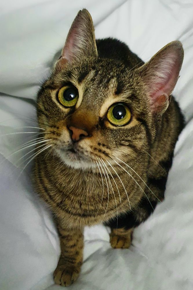 Photograph by Eva Lihor-Laza