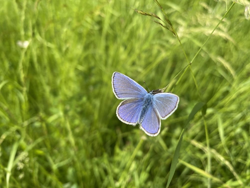 Photograph by Ирина Соловейченко