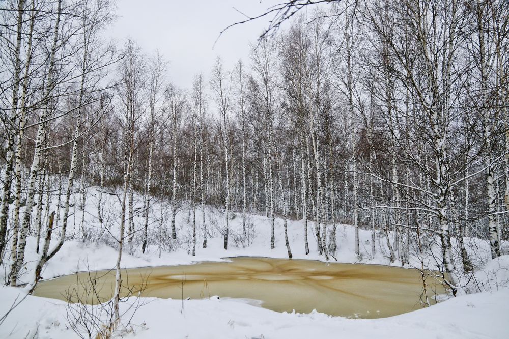 Photograph by Олег Укладов