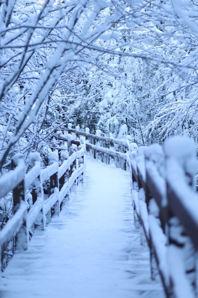 Photograph by Бальзирова Наталья