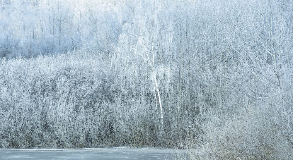 Photograph by Елена Иванова